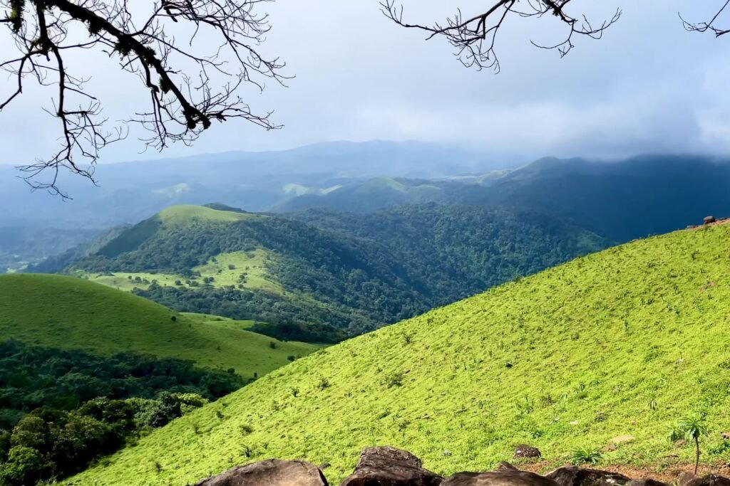 mandalpatti jeep safari