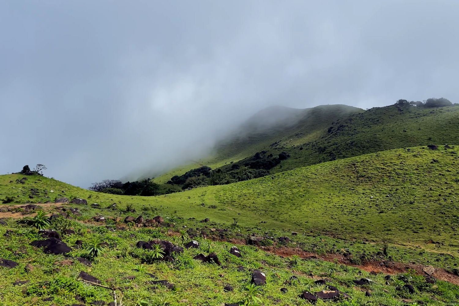 mandalpatti jeep safari